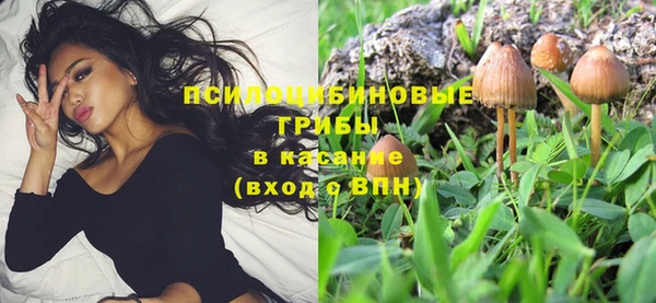 тгк Нея