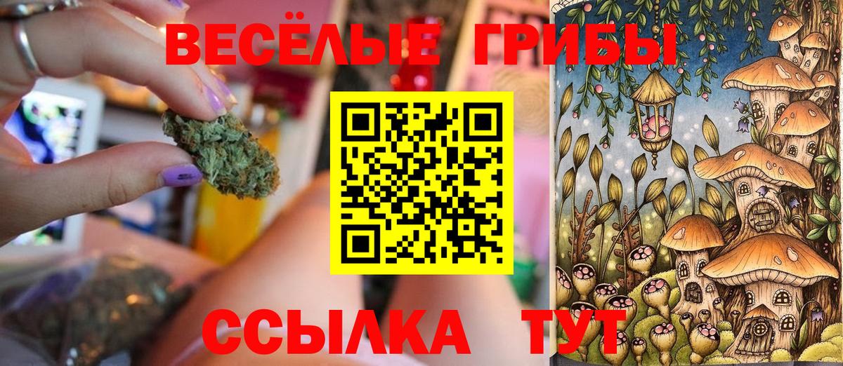 Галлюциногенные грибы мицелий Киржач