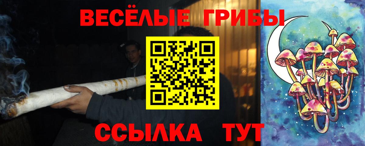 Псилоцибиновые грибы мицелий  Вход с VPN  Псилоцибиновые грибы GOLDEN TEACHER  Киржач 
