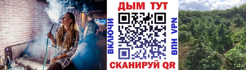 Шишки марихуана план цена Киржач